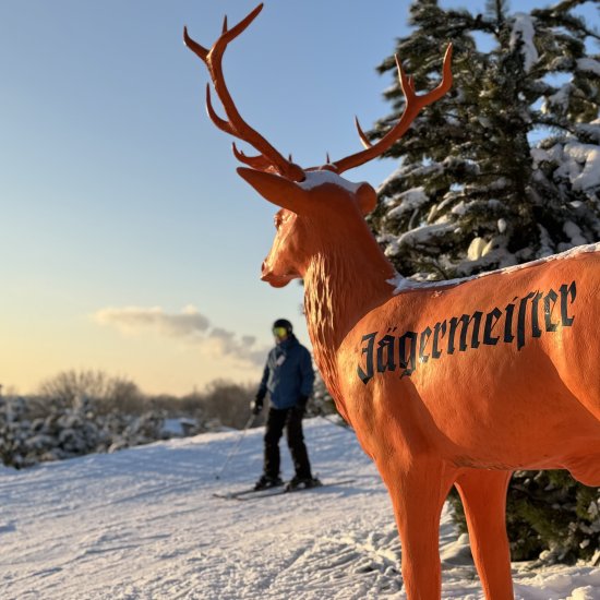 Jagermeister stag